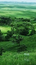 Scaricare immagine Trees,Landscape,Fields sul telefono gratis.