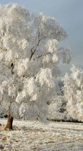 Scaricare immagine Trees, Landscape, Fields, Snow, Winter sul telefono gratis.