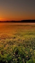 Trees, Landscape, Fields, Sunset per LG Optimus 4X HD P880