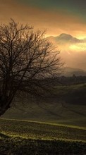 Scaricare immagine Trees, Landscape, Fields, Sunset sul telefono gratis.