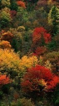 Scaricare immagine 1280x800 Plants, Landscape, Nature, Trees sul telefono gratis.