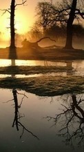 Scaricare immagine Landscape, Nature, Rivers, Trees, Sunset sul telefono gratis.
