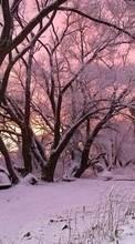Scaricare immagine Landscape, Winter, Trees, Snow, Dawn sul telefono gratis.