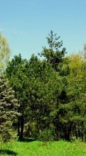 Scaricare immagine Plants, Landscape, Trees sul telefono gratis.