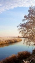 Landscape, Rivers, Trees per HTC One mini 2