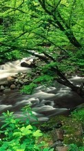 Scaricare immagine 540x960 Landscape, Rivers, Trees sul telefono gratis.