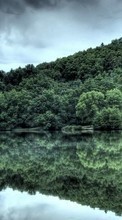Trees,Landscape,Rivers per OnePlus 8