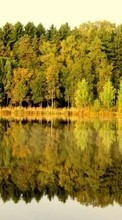 Scaricare immagine Trees,Landscape,Rivers sul telefono gratis.