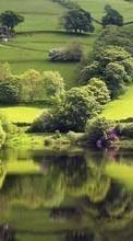 Scaricare immagine 128x160 Landscape, Rivers, Trees sul telefono gratis.