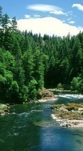 Scaricare immagine 800x480 Landscape, Rivers, Trees sul telefono gratis.