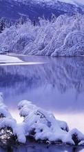 Scaricare immagine Trees, Landscape, Rivers, Snow sul telefono gratis.