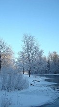 Scaricare immagine Landscape, Winter, Rivers, Trees, Snow sul telefono gratis.