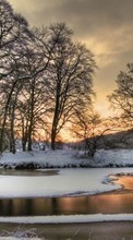 Trees, Landscape, Rivers, Snow, Winter per Micromax AQ5001