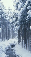 Scaricare immagine Trees, Landscape, Rivers, Snow, Winter sul telefono gratis.