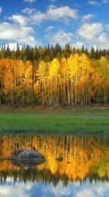 Scaricare immagine 128x160 Landscape, Water, Rivers, Trees sul telefono gratis.