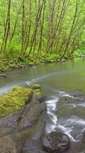 Scaricare immagine 480x800 Landscape, Water, Rivers, Trees sul telefono gratis.