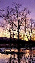 Scaricare immagine Landscape, Winter, Water, Rivers, Trees, Sunset sul telefono gratis.