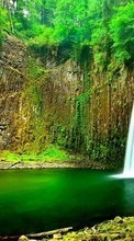 Scaricare immagine Trees, Landscape, Rivers, Waterfalls sul telefono gratis.