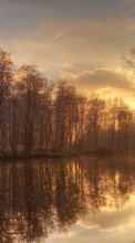 Scaricare immagine Trees, Landscape, Rivers, Sunset sul telefono gratis.