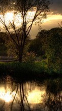 Scaricare immagine Trees,Landscape,Rivers,Sunset sul telefono gratis.