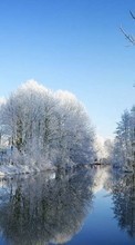 Trees, Landscape, Rivers, Winter