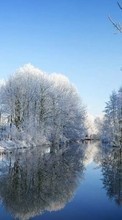 Scaricare immagine Trees, Landscape, Rivers, Winter sul telefono gratis.