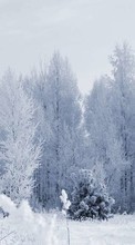 Scaricare immagine Trees, Landscape, Snow sul telefono gratis.