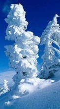 Scaricare immagine Trees,Landscape,Snow sul telefono gratis.