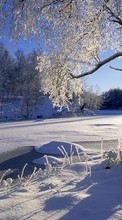 Scaricare immagine Trees, Landscape, Snow, Sun, Winter sul telefono gratis.