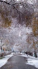 Scaricare immagine Trees, Landscape, Snow, Streets sul telefono gratis.