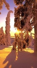 Scaricare immagine Trees, Landscape, Snow, Sunset, Winter sul telefono gratis.