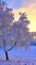 Scaricare immagine Trees, Landscape, Snow, Sunset, Winter sul telefono gratis.