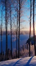 Scaricare immagine 360x640 Landscape, Winter, Trees, Sunset, Snow sul telefono gratis.