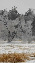 Scaricare immagine 1080x1920 Landscape, Winter, Trees, Snow sul telefono gratis.