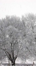 Scaricare immagine Landscape, Winter, Trees, Snow sul telefono gratis.