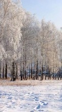 Scaricare immagine 540x960 Landscape, Winter, Trees, Snow sul telefono gratis.
