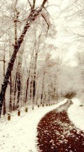 Trees, Landscape, Snow, Winter per HTC Desire 601