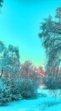 Scaricare immagine Trees, Landscape, Snow, Winter sul telefono gratis.