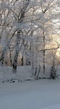 Scaricare immagine 1080x1920 Landscape, Winter, Trees, Snow sul telefono gratis.