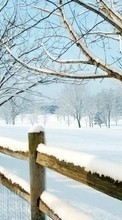 Trees, Landscape, Snow, Winter per Motorola DROID X MB810