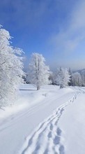 Scaricare immagine Trees, Landscape, Snow, Winter sul telefono gratis.