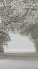 Scaricare immagine Trees,Landscape,Snow,Winter sul telefono gratis.