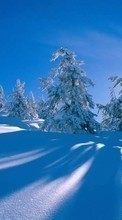 Scaricare immagine Landscape, Winter, Trees, Snow sul telefono gratis.