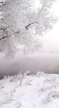 Scaricare immagine 1024x600 Landscape, Winter, Trees, Snow sul telefono gratis.