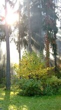 Scaricare immagine Landscape, Trees, Sun sul telefono gratis.