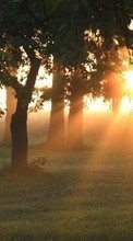 Scaricare immagine Trees, Landscape, Sun, Sunset sul telefono gratis.