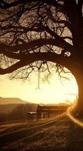 Scaricare immagine Trees, Landscape, Sun, Sunset sul telefono gratis.