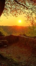 Scaricare immagine Landscape, Trees, Sunset, Sun sul telefono gratis.