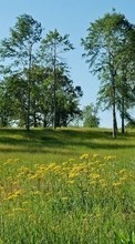 Scaricare immagine 1280x800 Landscape, Trees, Grass sul telefono gratis.