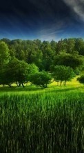 Scaricare immagine 128x160 Landscape, Trees, Grass sul telefono gratis.